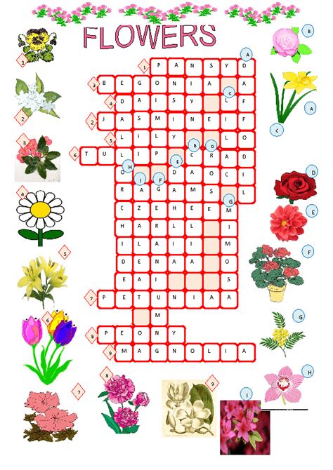 flower arranging art crossword|japanese flower arranging crossword.